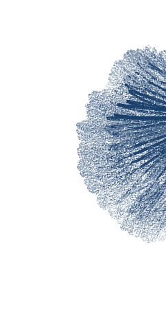 poppy2 blue 2