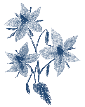 flower3