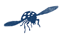 ladybug blue 1